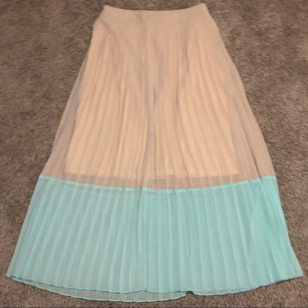 Pleated See Through Knee Length Skirt